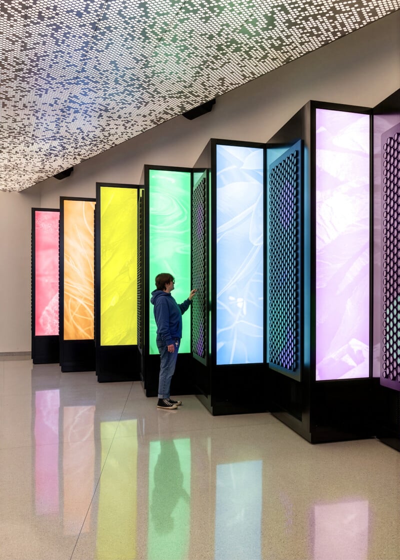 Beyond Belonging: Architecture as an act of cultural permanence image